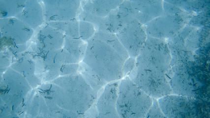 Obraz premium Diving in the red sea. Sexy girl in bikini and mask. Snorkeling. Traveling lifestyle. Water sports. Beach holidays.