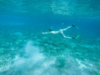 Naklejka premium Diving in the red sea. Sexy girl in bikini and mask. Snorkeling. Traveling lifestyle. Water sports. Beach holidays.