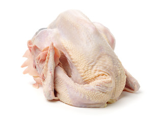 Raw fresh chicken isolated on white background