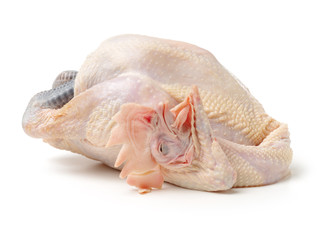 Raw fresh chicken isolated on white background