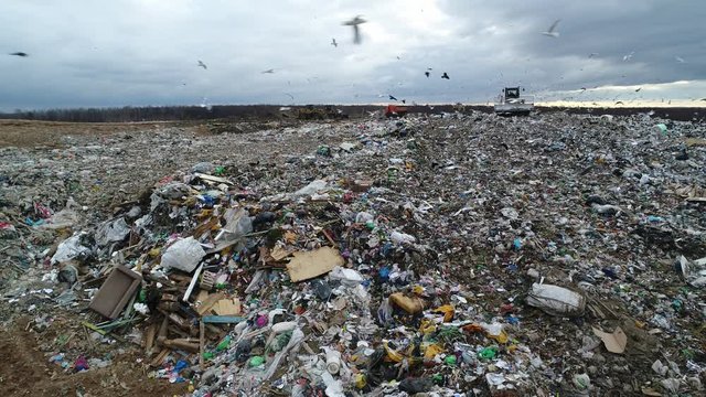 Flocks of birds circling over the garbage dump. Bulldozer rakes waste in the trash. A huge garbage mountain of unsorted waste. Landfill. Aerial view.