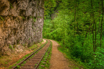Narrow gauge railway in the mountains. Republic of Adygea, GUAM gorge, Russia.