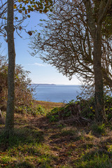 Fototapeta na wymiar Rame Head through the trees in Looe Cornwall 