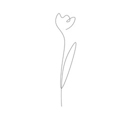 Flower continuous line drawing on white background, vector illustration	