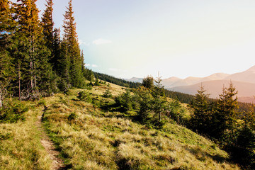 Mountains and green forest picturesque scenery. High peaks. Beautiful landscape.