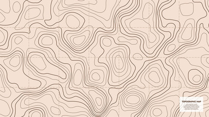 Topographic world map. Vector for your design