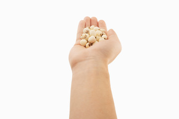 Obraz premium lotus seeds in hand with white background