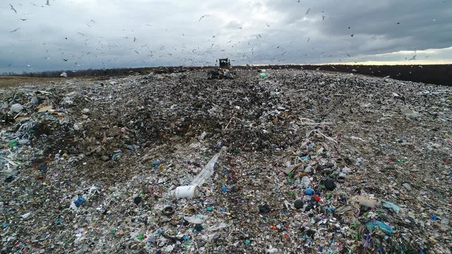 Flocks of birds circling over the garbage dump. Bulldozer rakes waste in the trash. A huge garbage mountain of unsorted waste. Landfill. Aerial view.