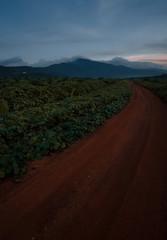 Near to Mountain Ophir at johor bahru