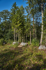 Land landscape mountain park.The picturesque landscape of the mountain natural park Ruskeala. You can see the rocks and their fragments, coniferous forest, mountains, wildlife. Russia, Karelia
