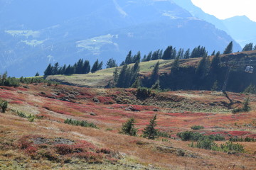 HerbstLandscahft