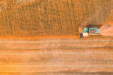 Combine harvester harvests wheat in the field at sunset in autumn in Russia. view from a height of equipment and field
