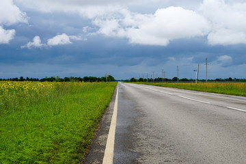 Fototapeta na wymiar Painting. Country highway in summer cloudy weather before the rain.
