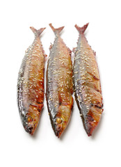 Grilled saury on white background