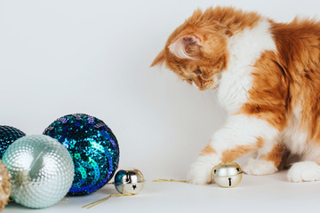  fluffy ginger kitten plays with a metal bells and Christmas balls.