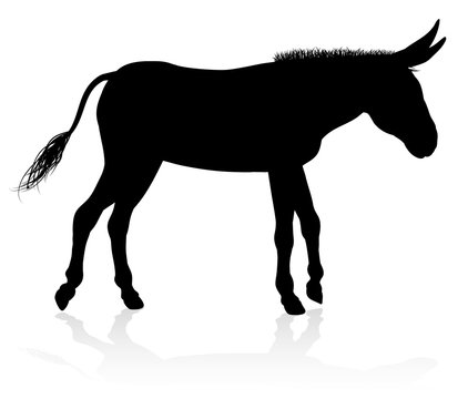 A detailed high quality donkey farm animal silhouette