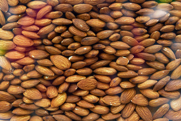 Showcase of a shop selling nuts and fried almonds.