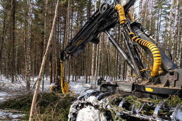 Woodworking. Logger busy working in winter forest