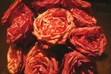 赤い薔薇