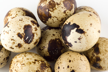 quail eggs isolated on white background