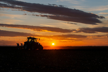 Fototapeta premium Preparing land for sowing