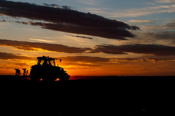 Preparing land for sowing