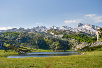 Fototapeta na wymiar La Ercina lake. Covadonga. Asturias. Spain