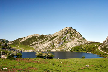 Enol lake. Covagonga, Asturias, Spain