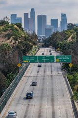 View of Los Angeles, CA with palm trees and moody sky