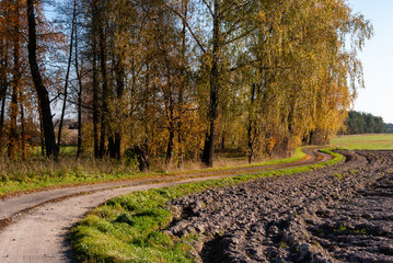 Jesień na Podlasiu, Polna droga, Krajobraz wiejski © podlaski49