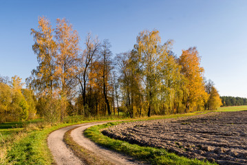 Jesień na Podlasiu, Polna droga, Krajobraz wiejski © podlaski49