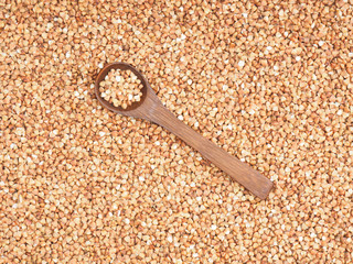 Buckwheat groats in brown wooden spoon on a buckwheat background with copy space. Healthy eating concept