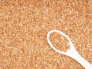 Buckwheat groats in wooden spoon on a buckwheat background with copy space. Healthy eating concept