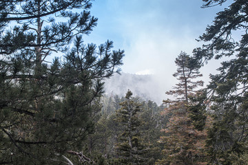 Palm Springs tramway after late season snow