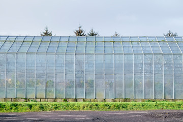 Glass greenhouse at horticulture farm show