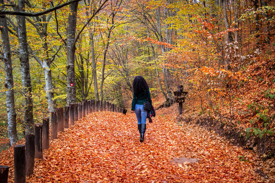 Young woman walk on a forest footpath covered with fallen leaves at autumn. Camping place Grza near the Paracin in Serbia.