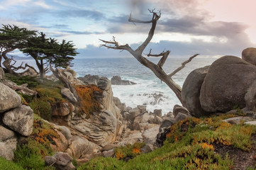 Dramatic coastline views as seen from iconic 17 Mile Drive near Pebble Beach and Pacific Grove. Monterey County, California, USA.