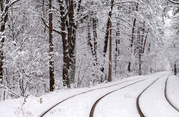 The rails are laid in the winter forest. Selective focus.