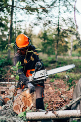 lumberjack cuts down trees with a chainsaw