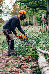 lumberjack cuts down trees with a chainsaw
