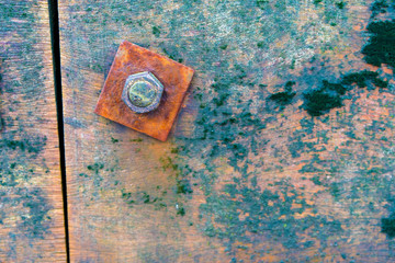 Old rusty bolt and nut in weathered piece of wood 