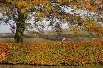 Autumn Landscape Looking over the countryside in Devon