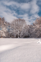 Landscape of a winter forest. Nature in the winter. bench  in a winter park