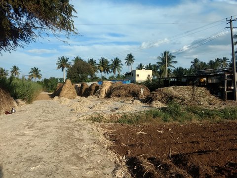 sugarcane residue