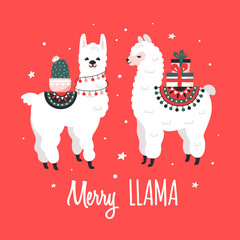 Merry Christmas greeting card with cute Lamas. Vector illustration. © Viktoriia