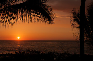Naklejka na ściany i meble sunset and palms silouettes on a beach