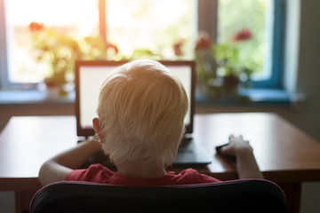 Small blond boy sitting at a laptop. Back view