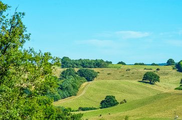 Sunny day in Winkworth Arboretum park, Godalming, Surrey, United Kingdom