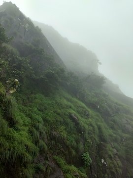 nature