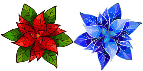  Poinsettia Flower / Christmas Star. Set of two colorful images of poinsettia flower / Christmas star on a white background.